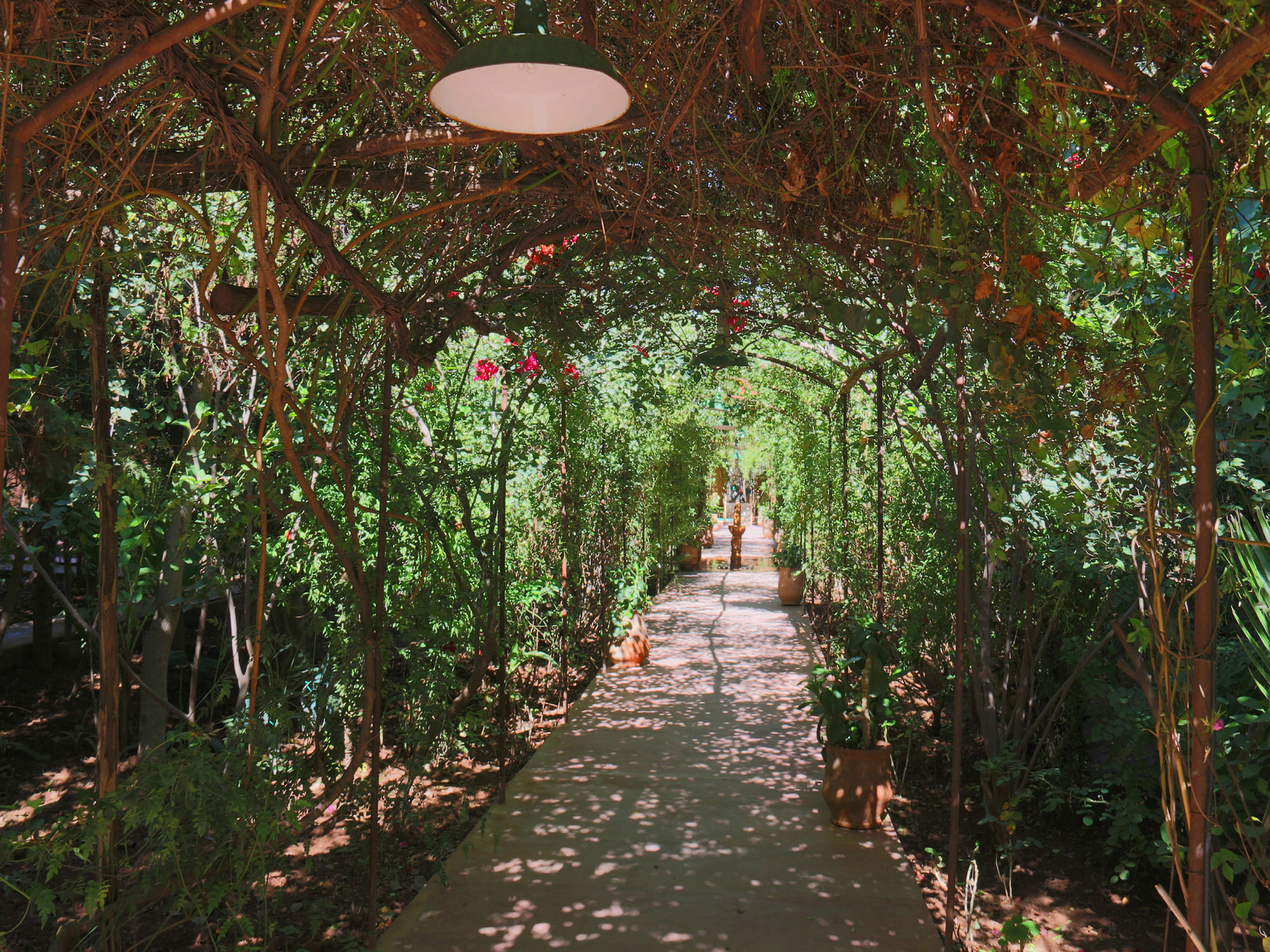 Le Jardin Touagana - Campement & Lodge Touggana Экстерьер фото